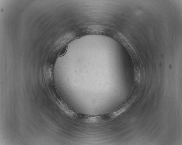 X0000087670382200705181711