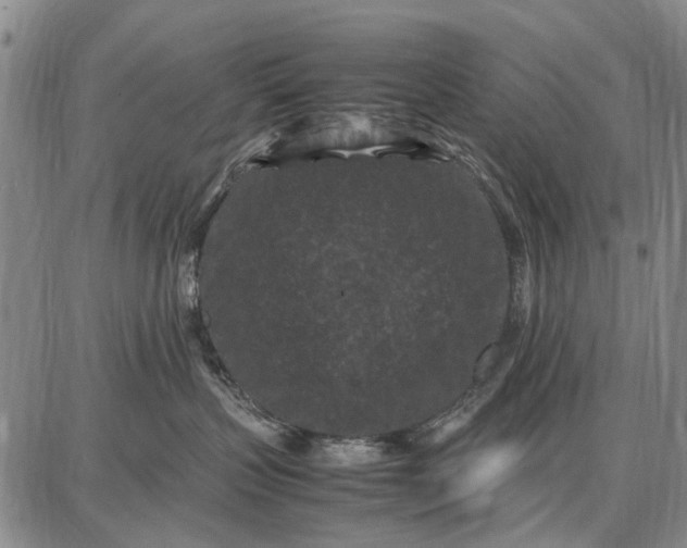 X0000087670383200705181711