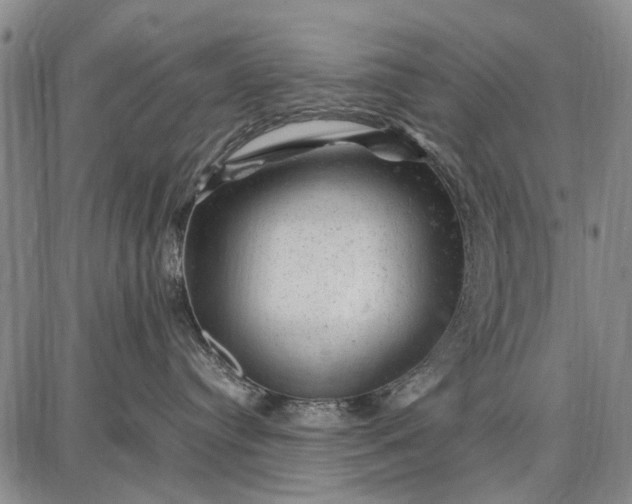 X0000087670384200705181711