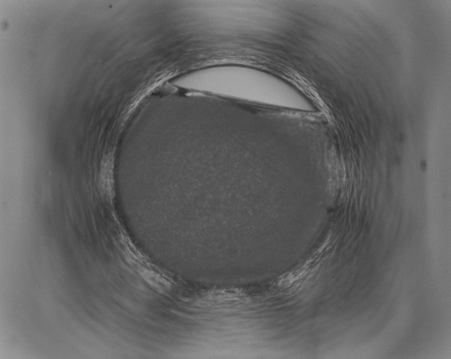 X0000087670386200705181710