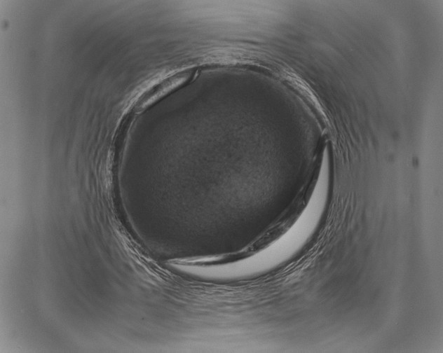 X0000087670387200705181710