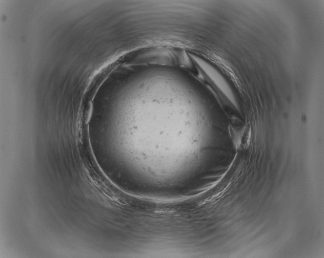 X0000087670388200705181710