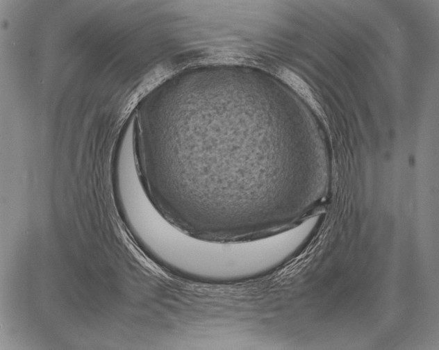 X0000087670389200705181710