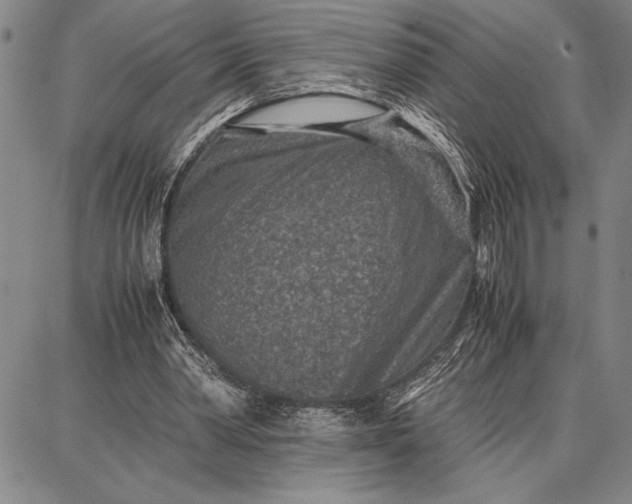 X0000087670390200705181710