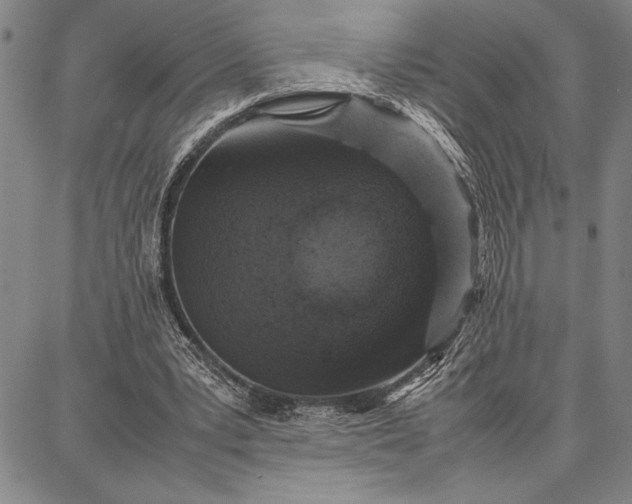 X0000087670391200705181710