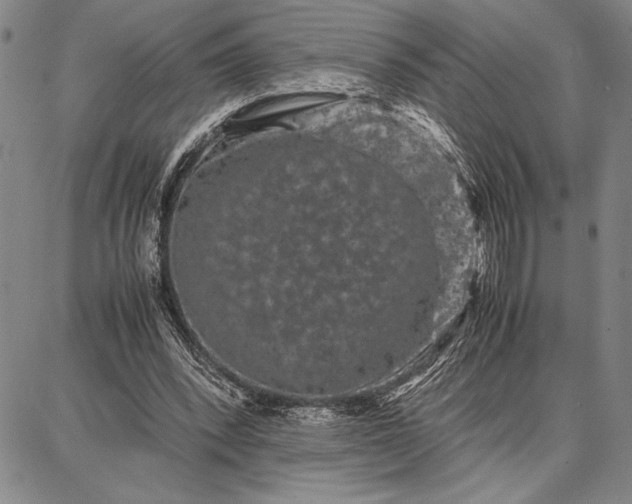 X0000087670392200705181710