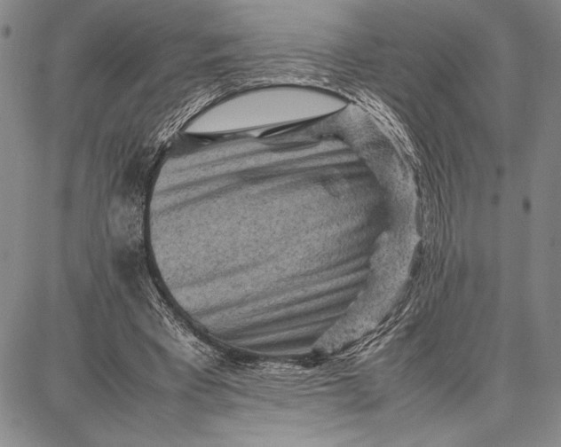 X0000087670393200705181710