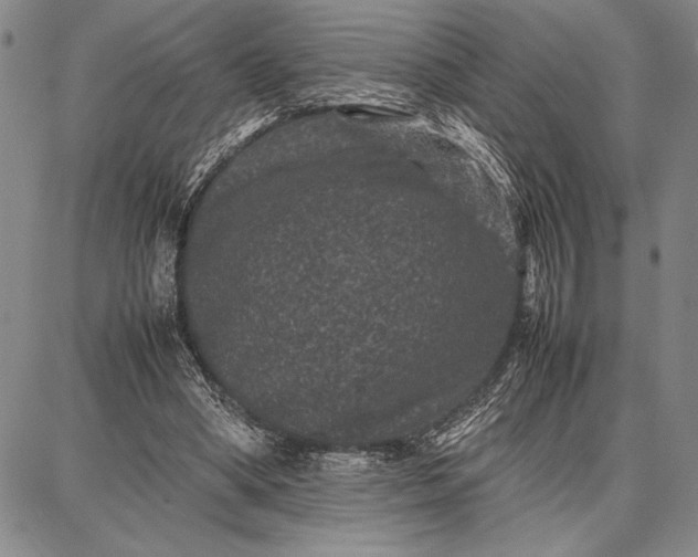 X0000087670394200705181710