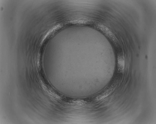 X0000087670396200705181710