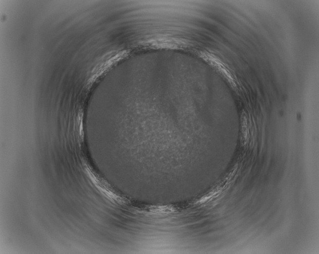 X0000087670398200705181710