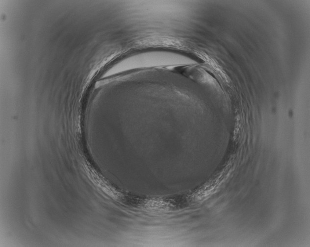 X0000087670399200705181710