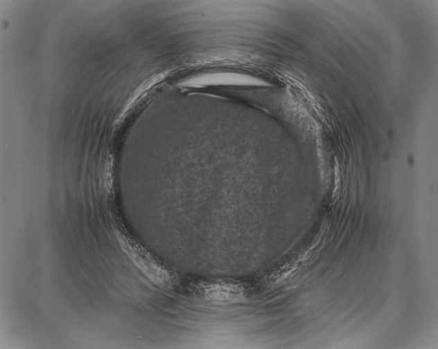 X0000087670400200705181710