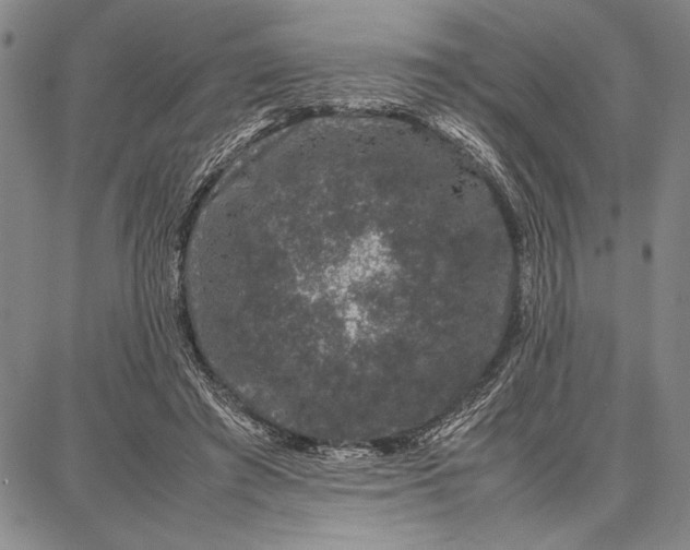 X0000087670401200705181710