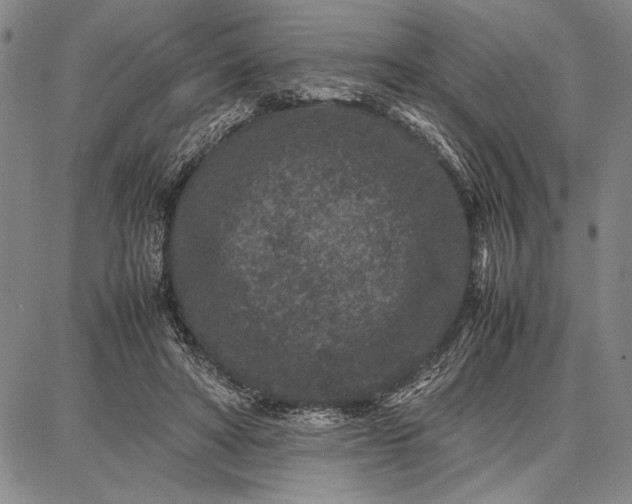 X0000087670402200705181710