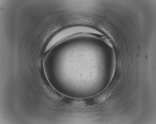 X0000087670403200705181710