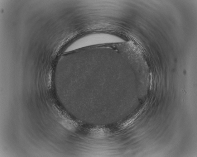 X0000087670404200705181710