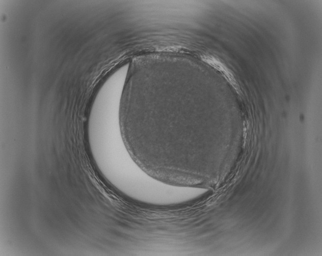 X0000087670405200705181710