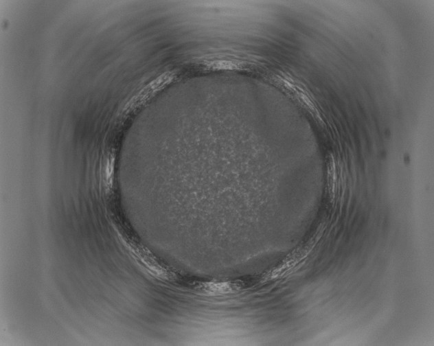 X0000087670406200705181710