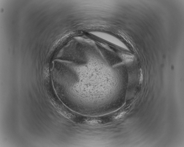 X0000087670407200705181710