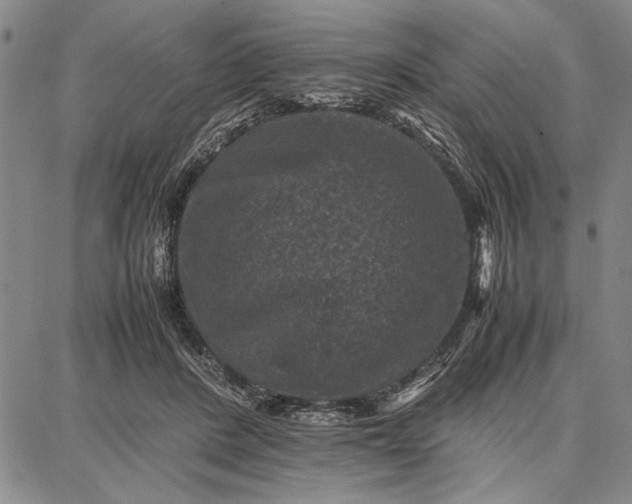 X0000087670408200705181710