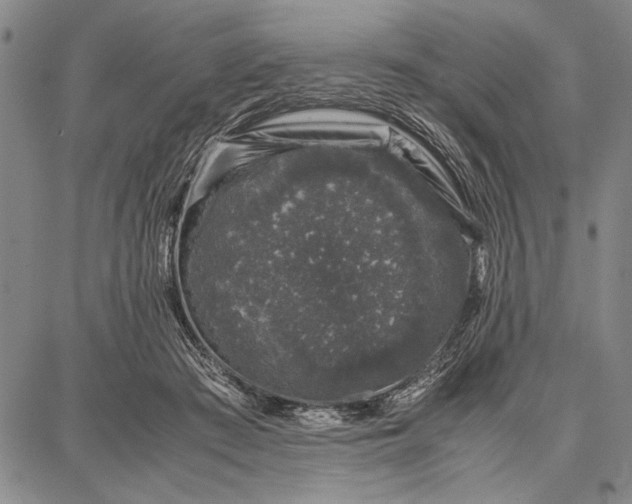 X0000087670409200705181710