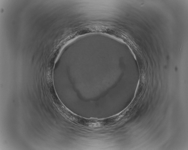 X0000087670411200705181709