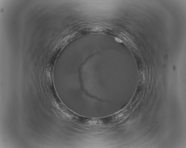 X0000087670415200705181709