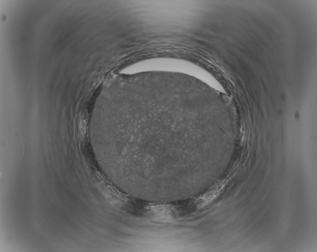 X0000087670417200705181709