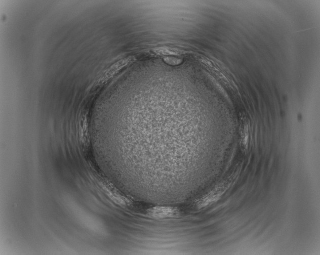 X0000087670418200705181709