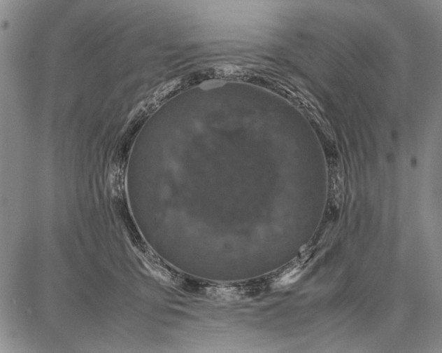 X0000087670419200705181709