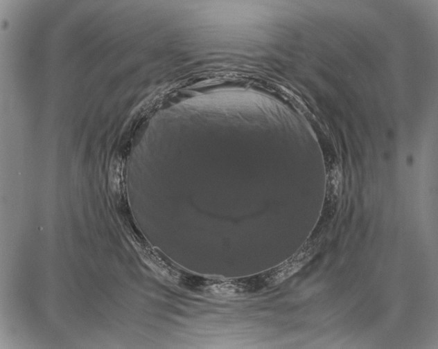 X0000087670423200705181709