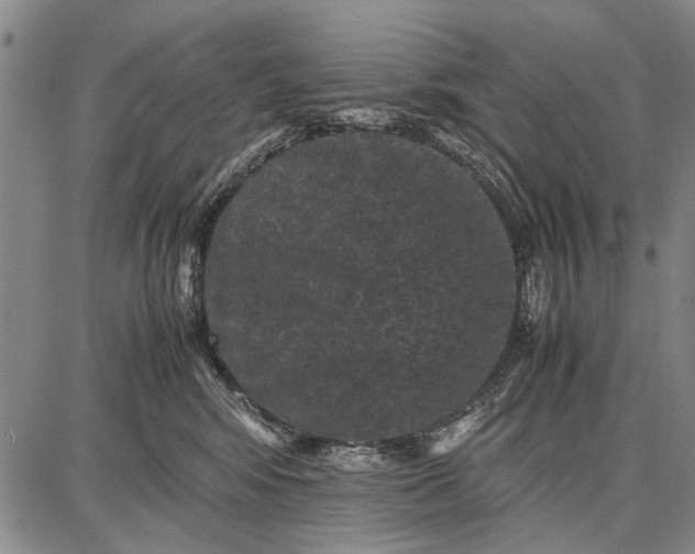 X0000087670424200705181709