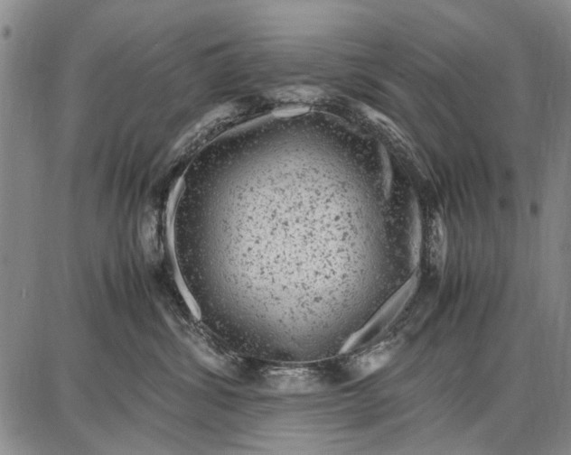 X0000087670428200705181709