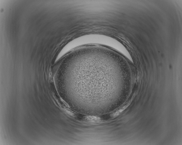 X0000087670429200705181709