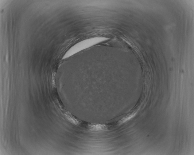 X0000087670432200705181709