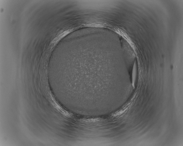 X0000087670433200705181708