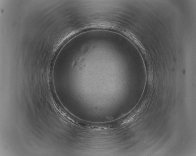 X0000087670434200705181708