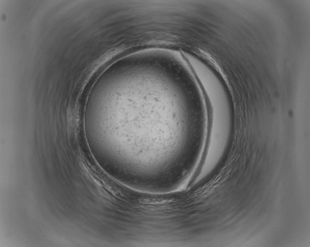 X0000087670435200705181708