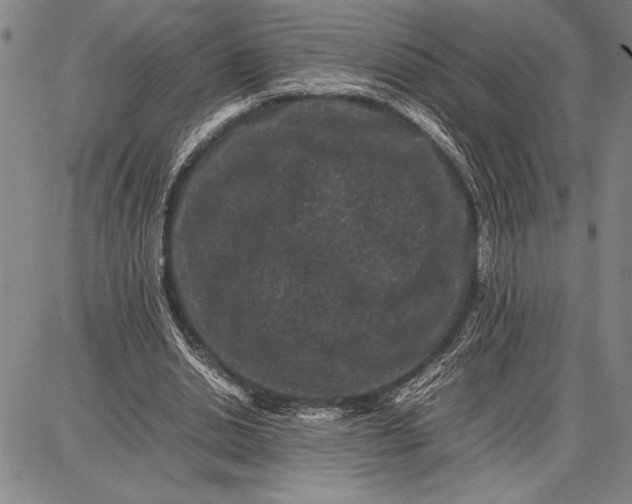 X0000087670438200705181708