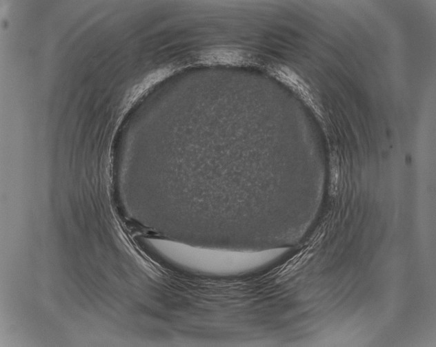 X0000087670439200705181708