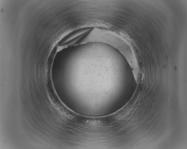 X0000087670440200705181708