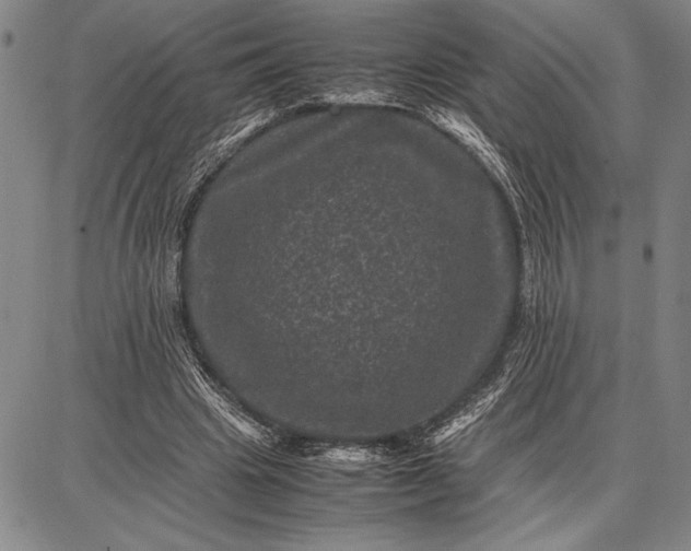 X0000087670441200705181708