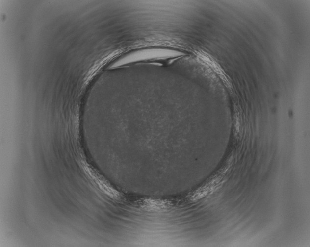 X0000087670442200705181709