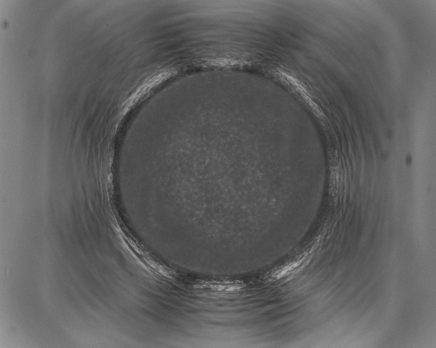 X0000087670443200705181709