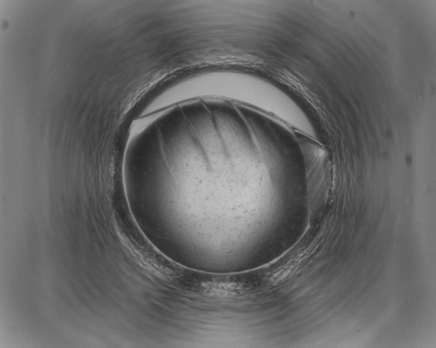 X0000087670448200705181709