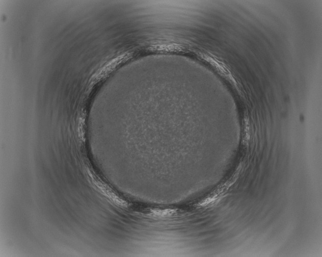 X0000087670450200705181709