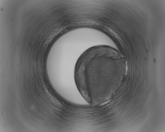 X0000087670452200705181709