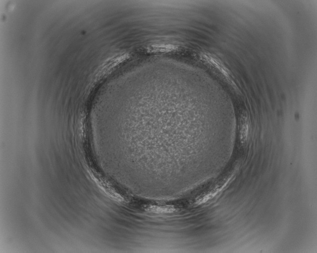 X0000087670455200705181709