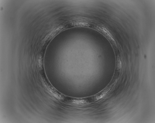 X0000087670457200705181709