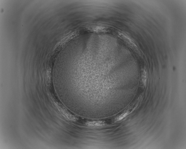 X0000087670461200705181709